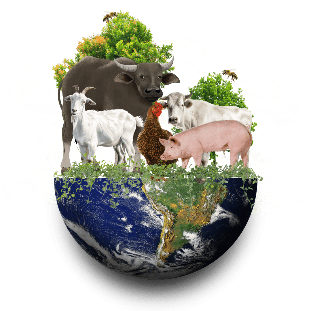 livestock industry in the philippines